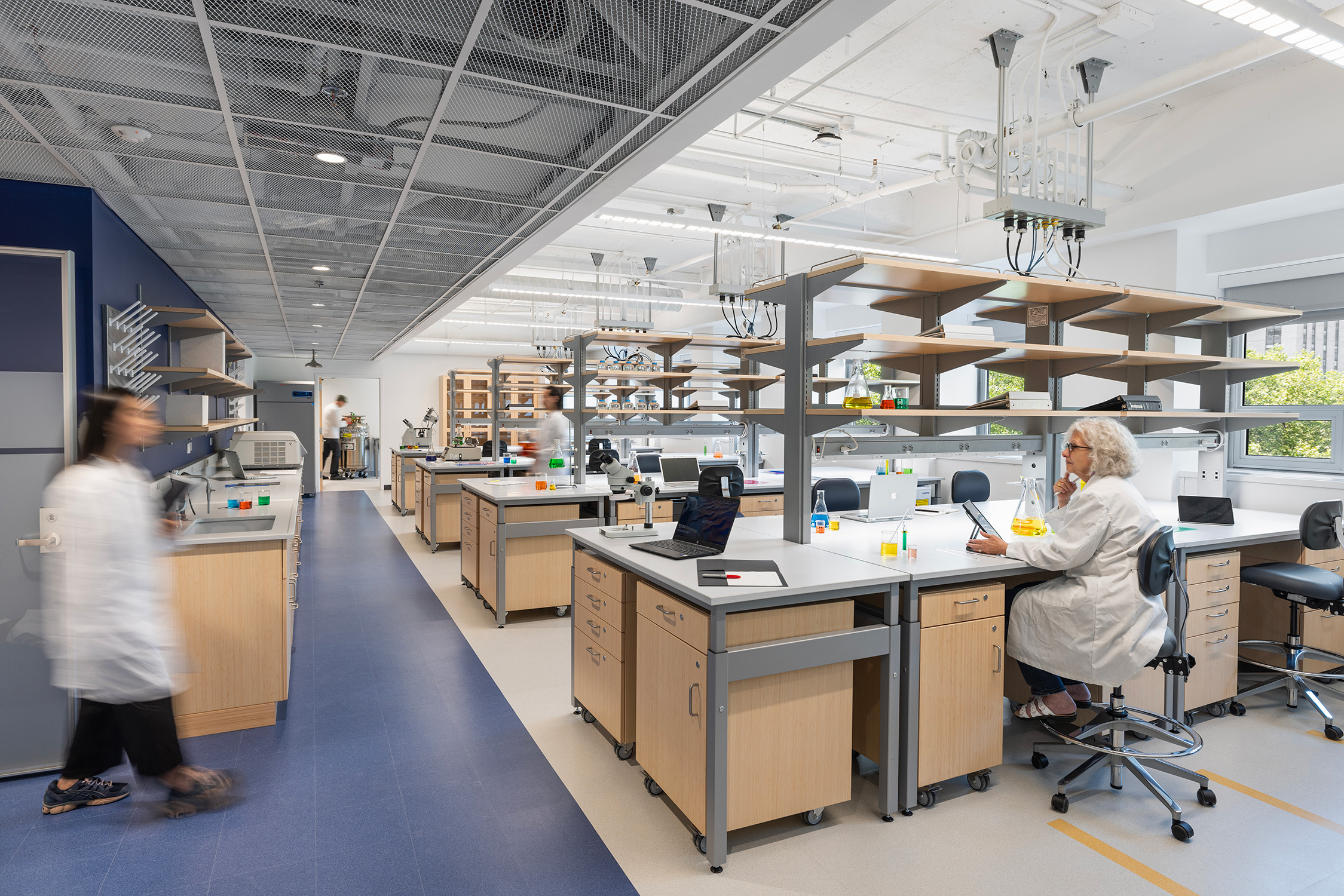 Bronk Translational Center, Rockefeller University - Mitchell Giurgola